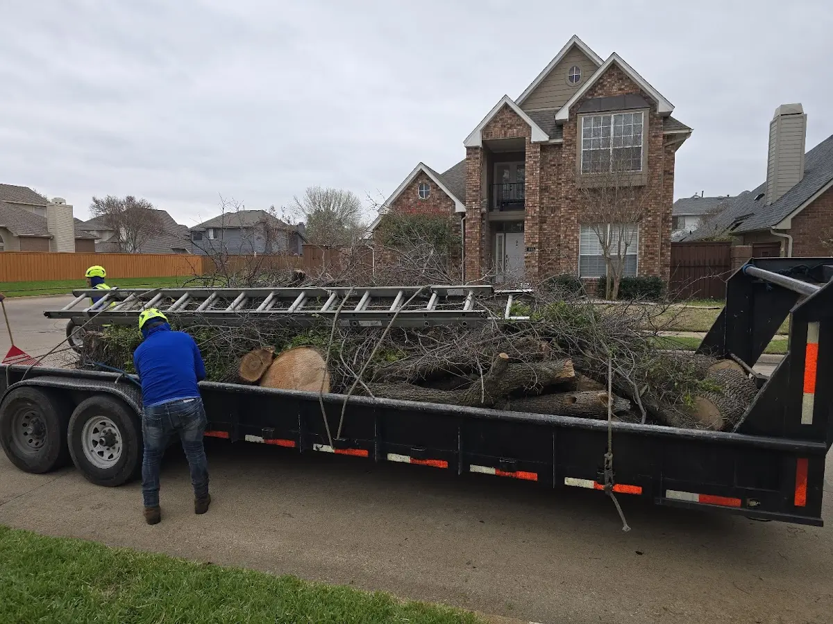 Expert Tree Fertilization with proper safety equipment in Glen Saint Mary